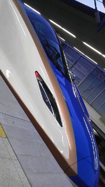 b0184584_1126244.jpg