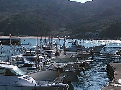a0267099_2222290.jpg