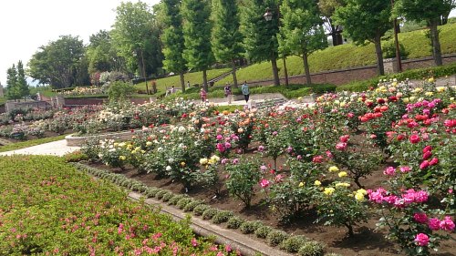 f0310599_07324496.jpg