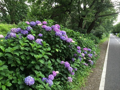 a0134004_22202273.jpg