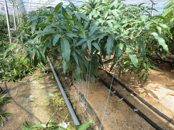 c0163508_4225937.jpg