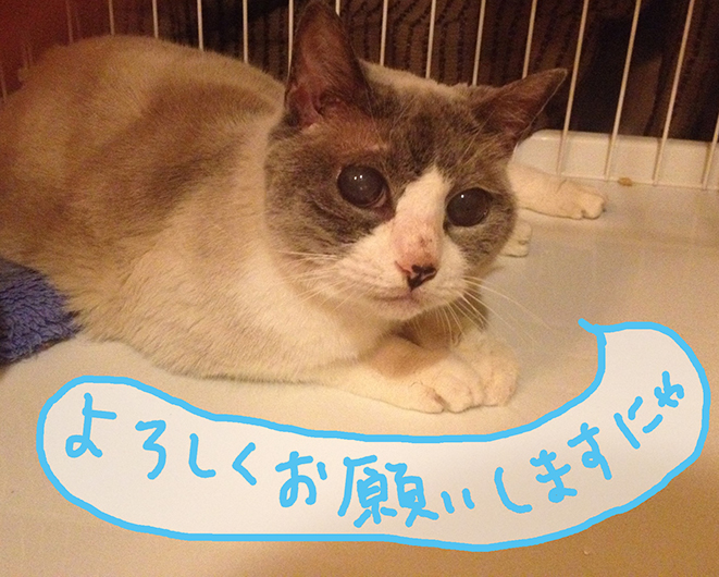ゴキゲンナナメ_e0239908_5485852.jpg