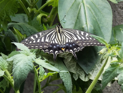 a0164011_01576.jpg