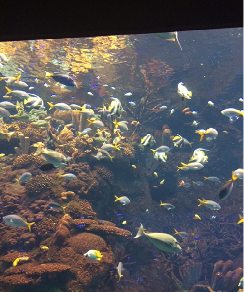 c0208011_11213419.png