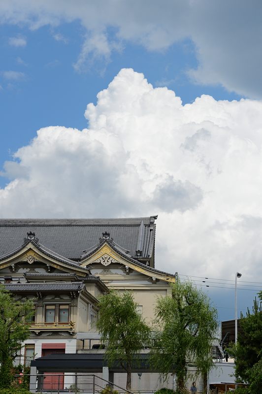鴨川のサギ オイカワ婚姻色出ました~!!!_f0032011_19524150.jpg