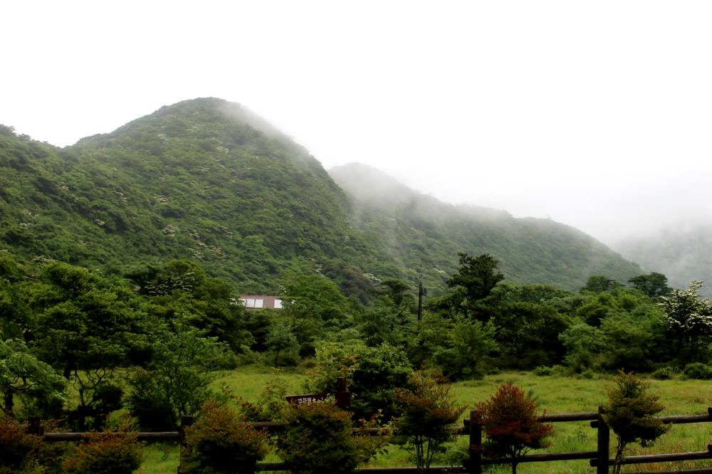 f0212511_2142969.jpg