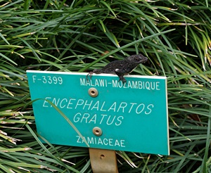 f0352712_1741411.jpg