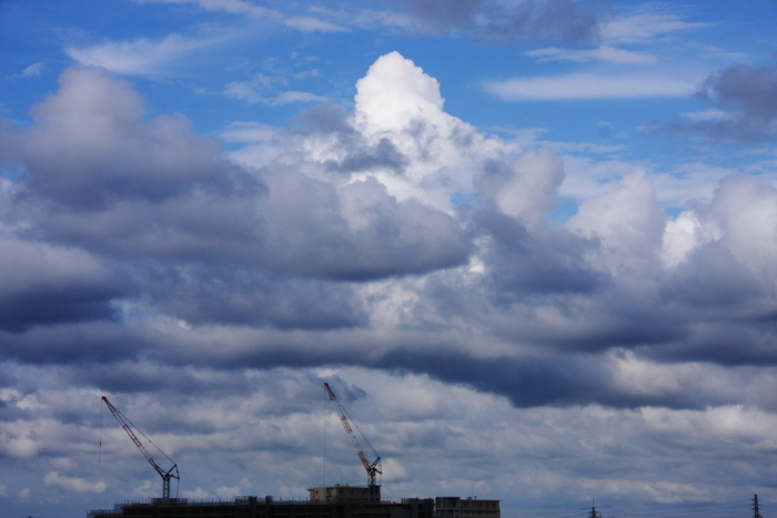 塔状雲　（層積雲）_b0268615_7322588.jpg