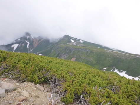 d0170615_9212145.jpg