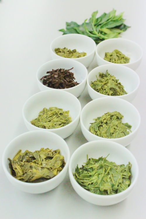 知る!楽しむ!日本茶の魅力 6月_b0220318_12415595.jpg