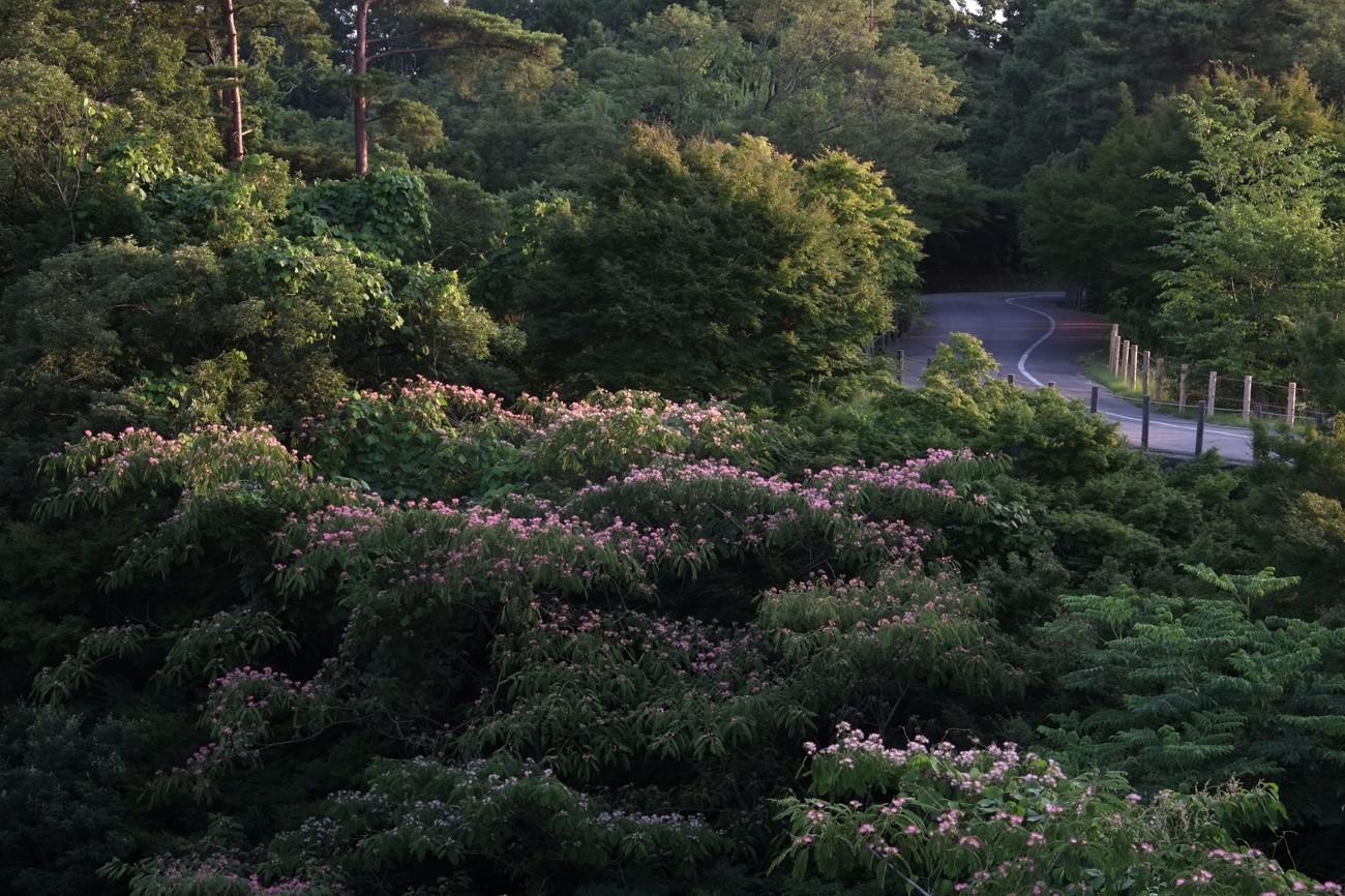c0220824_65647.jpg