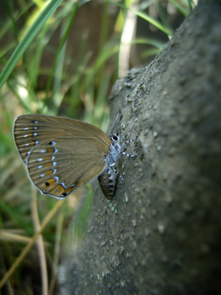 d0054625_22225328.jpg