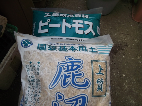 ブルーベリーの挿し木に再挑戦!_b0137932_10361982.jpg
