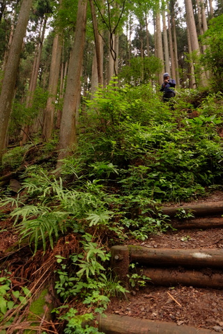 蕨山　〜6月21日(土)〜　その①_b0281732_5342510.jpg