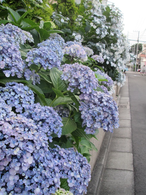 c0221732_2444850.jpg