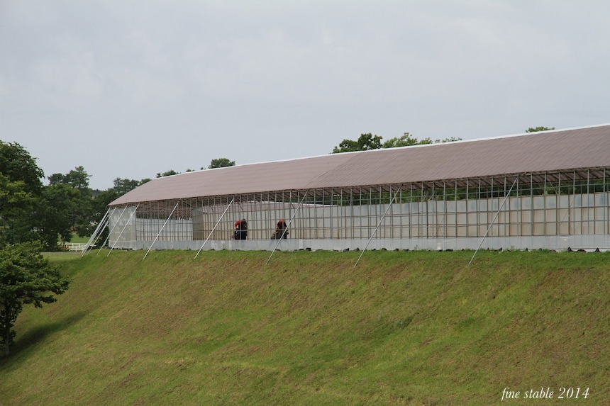 c0240132_62335.jpg