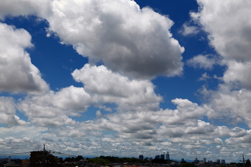 f0229832_10262047.jpg