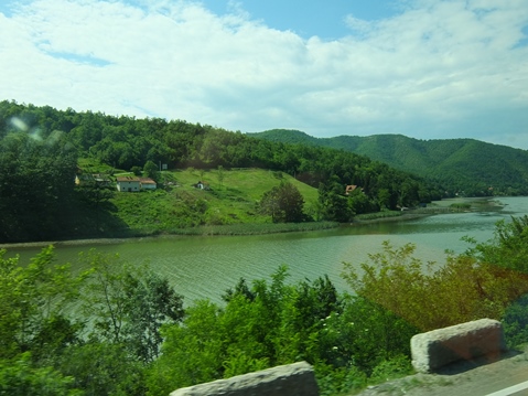c0051938_97898.jpg