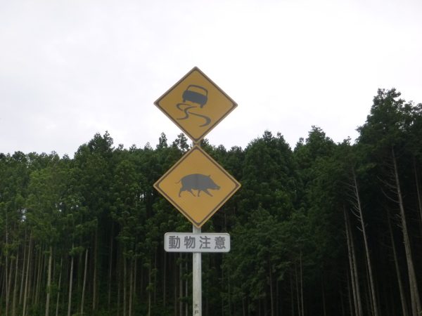 動物注意 みとぶら 動物注意 みとぶら