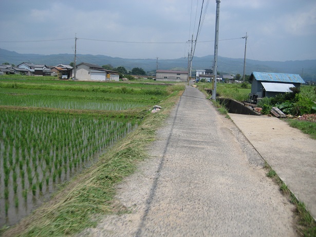 a0237349_16151036.jpg