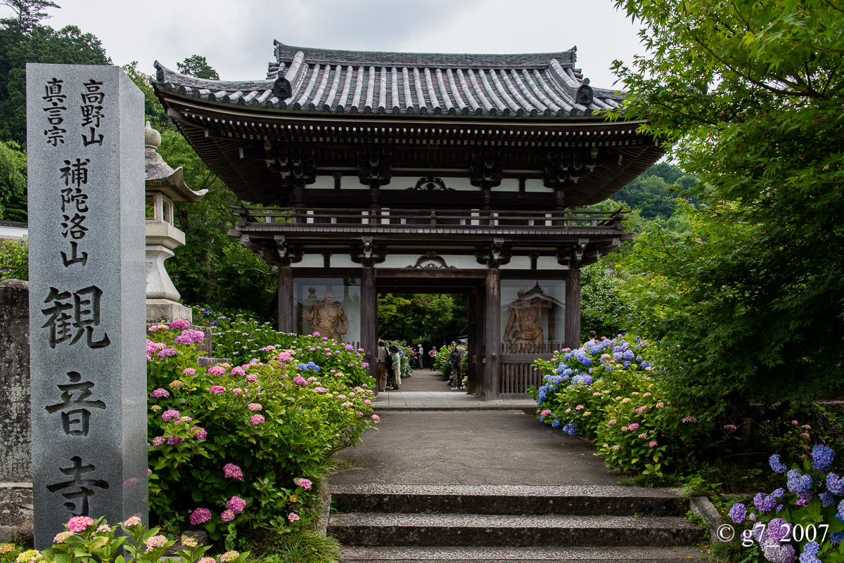 丹波あじさい寺　丹州観音寺　〜前編〜_f0152550_2301826.jpg