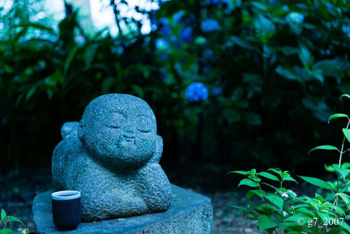 丹波あじさい寺　丹州観音寺　〜前編〜_f0152550_2355546.jpg