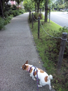 一緒はイイネ_f0013255_13472894.jpg