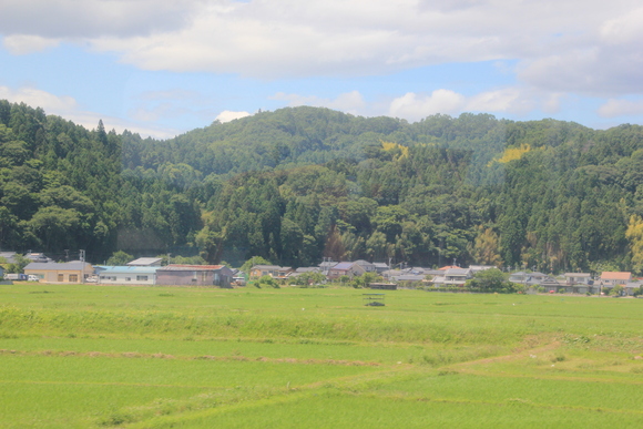 緑豊かな風景_d0202264_5565561.jpg