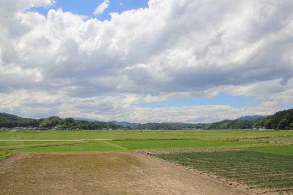 緑豊かな風景_d0202264_5582519.jpg