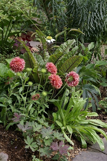 a0135366_21144068.jpg