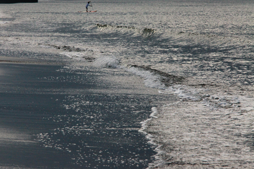 a0157069_85463.jpg