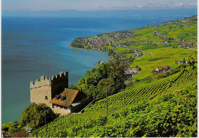 世界文化遺産のvineyards＝Lavaux_e0184881_14454476.jpg