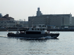 b0192588_11394315.jpg