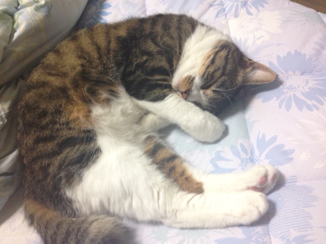 半分以上_f0177390_16163070.jpg
