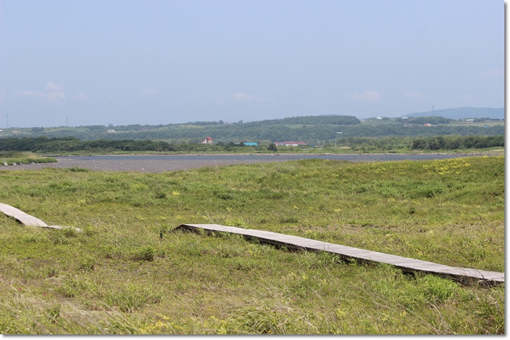 石狩はまなすの丘公園（６．２７）_f0146493_23533.jpg