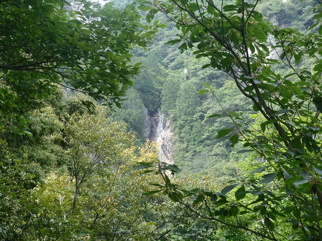 比良山縦走!(後半)_c0147398_17322765.jpg