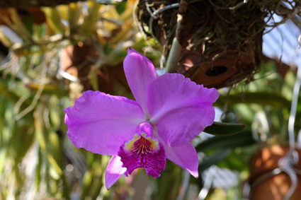 d0007501_1062981.jpg
