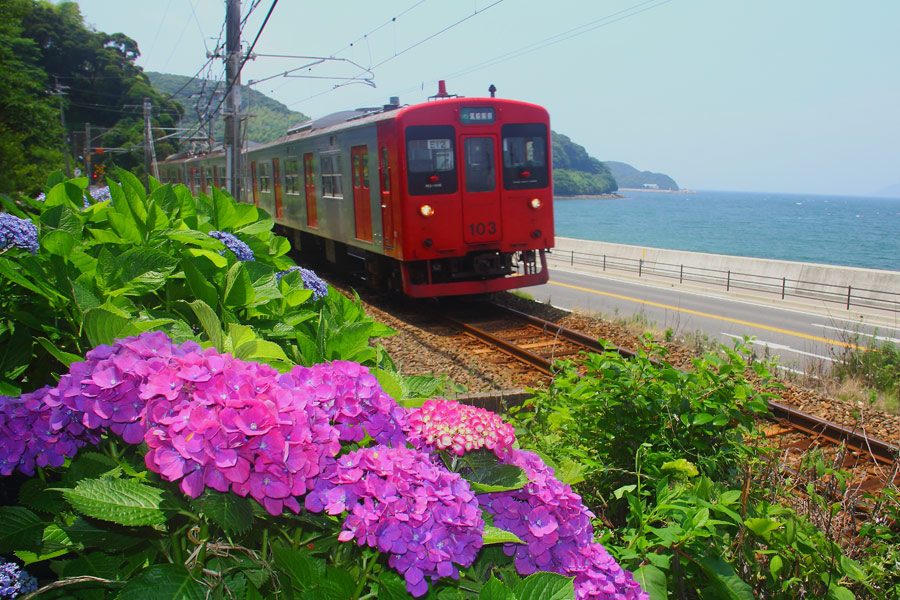 紫陽花のある風景 九州ロマンチック街道