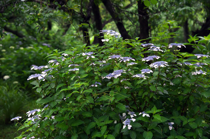 a0263109_1410119.jpg