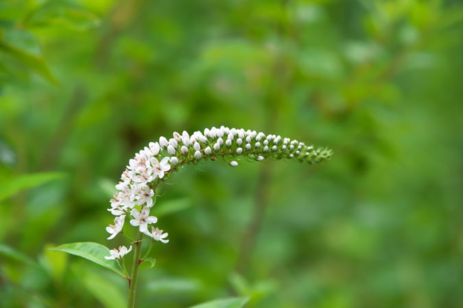 a0263109_1483554.jpg
