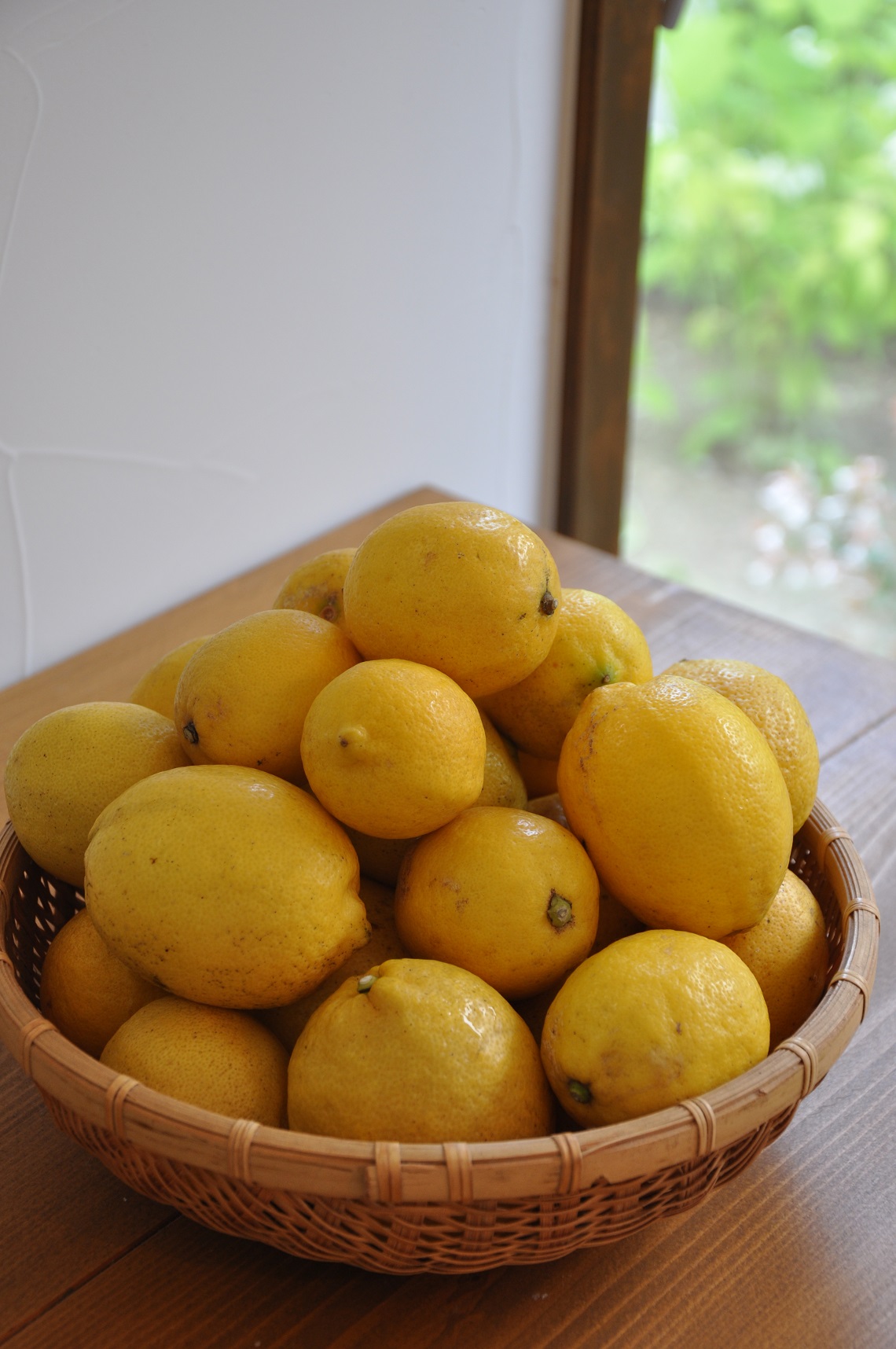 Lemon_c0312413_15271364.jpg