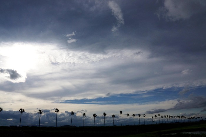 梅雨合間の空_c0235114_1623485.jpg