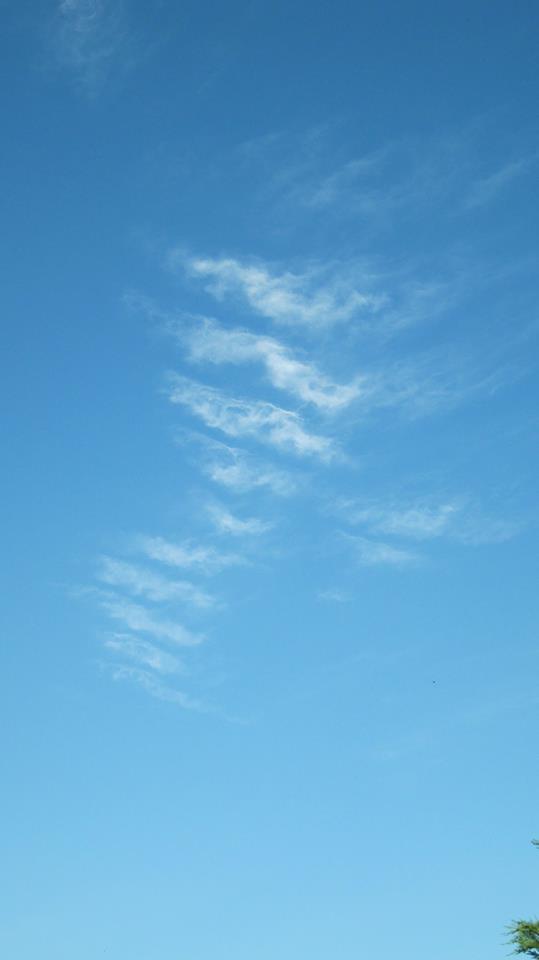 e0206718_11254750.jpg
