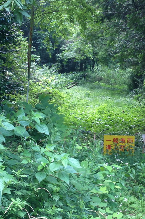 f0248120_19291268.jpg