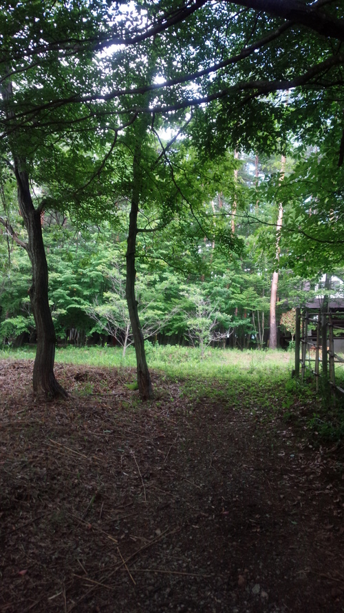 e0131324_782551.jpg