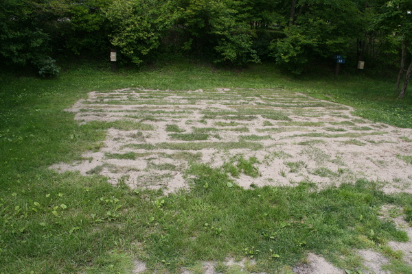 緑の大地_b0174425_151134.jpg