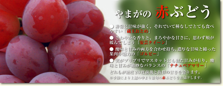 熊本ぶどう　社方園　平成26年度、豪華ラインナップで今年も7月7日に初出荷!! _a0254656_20203513.jpg