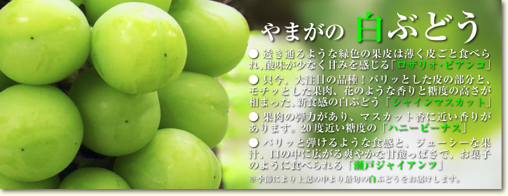 熊本ぶどう 社方園 平成26年度、豪華ラインナップで今年も7月7日に初出荷!! _a0254656_20234889.jpg