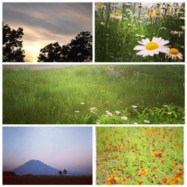 北海道へ_e0040957_7394084.jpg