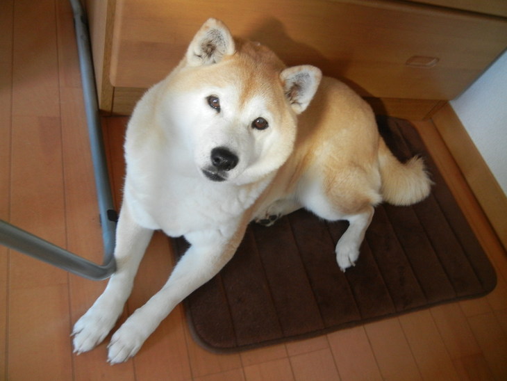 ’14,7,2(水)やっと夏らしいお天気に~!_f0060461_920203.jpg
